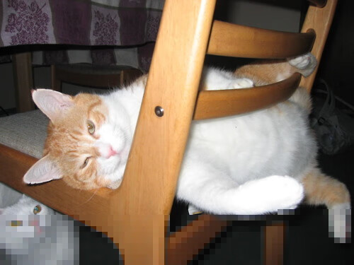 kaiyun 开云体育-NBA总裁宣布联盟将推进全球扩展计划，nba联盟总裁怎么产生的