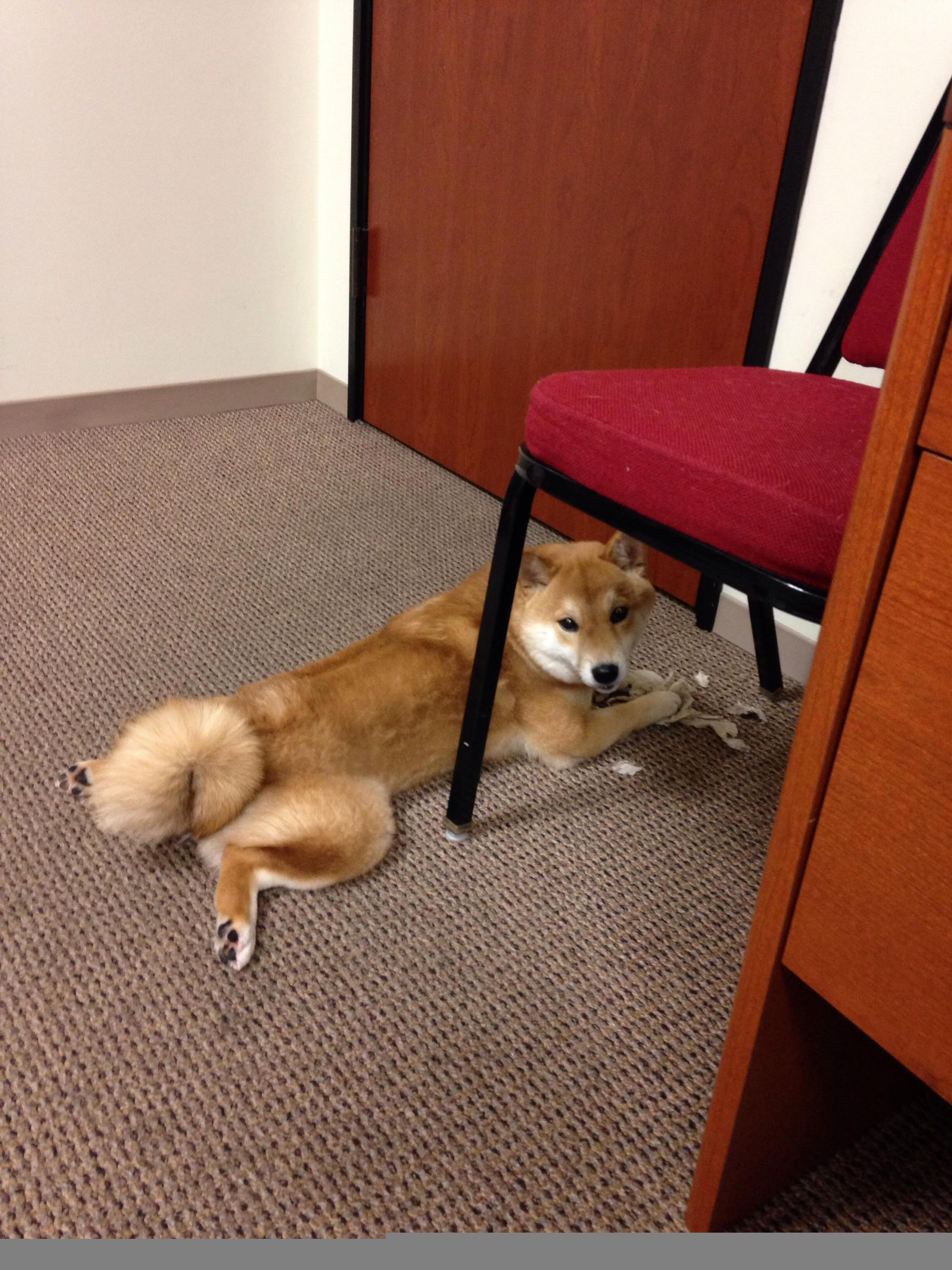 Kaiyun(中国)开云-沙滩排球燃情夜赛，球场上的激情星火，沙滩排球比赛录像