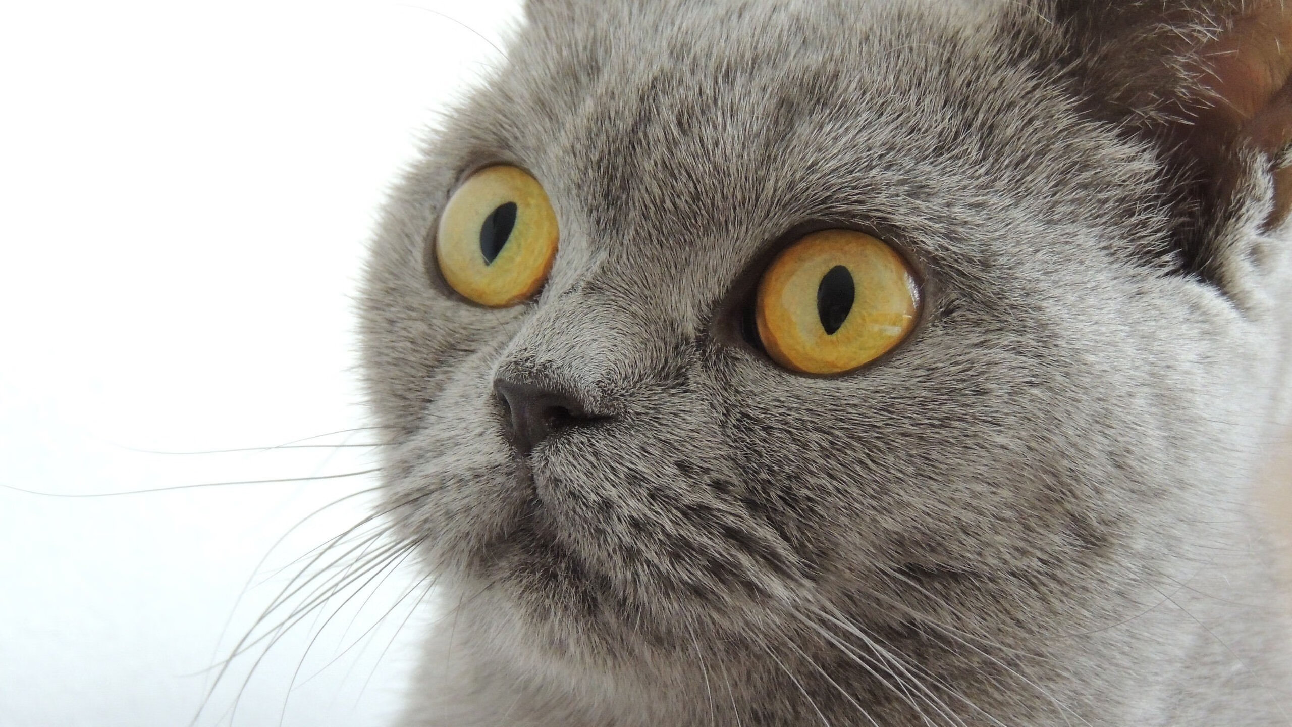 开云官方网站-激烈角逐，球队积分榜上位争夺激烈，足球俱乐部积分最近排名