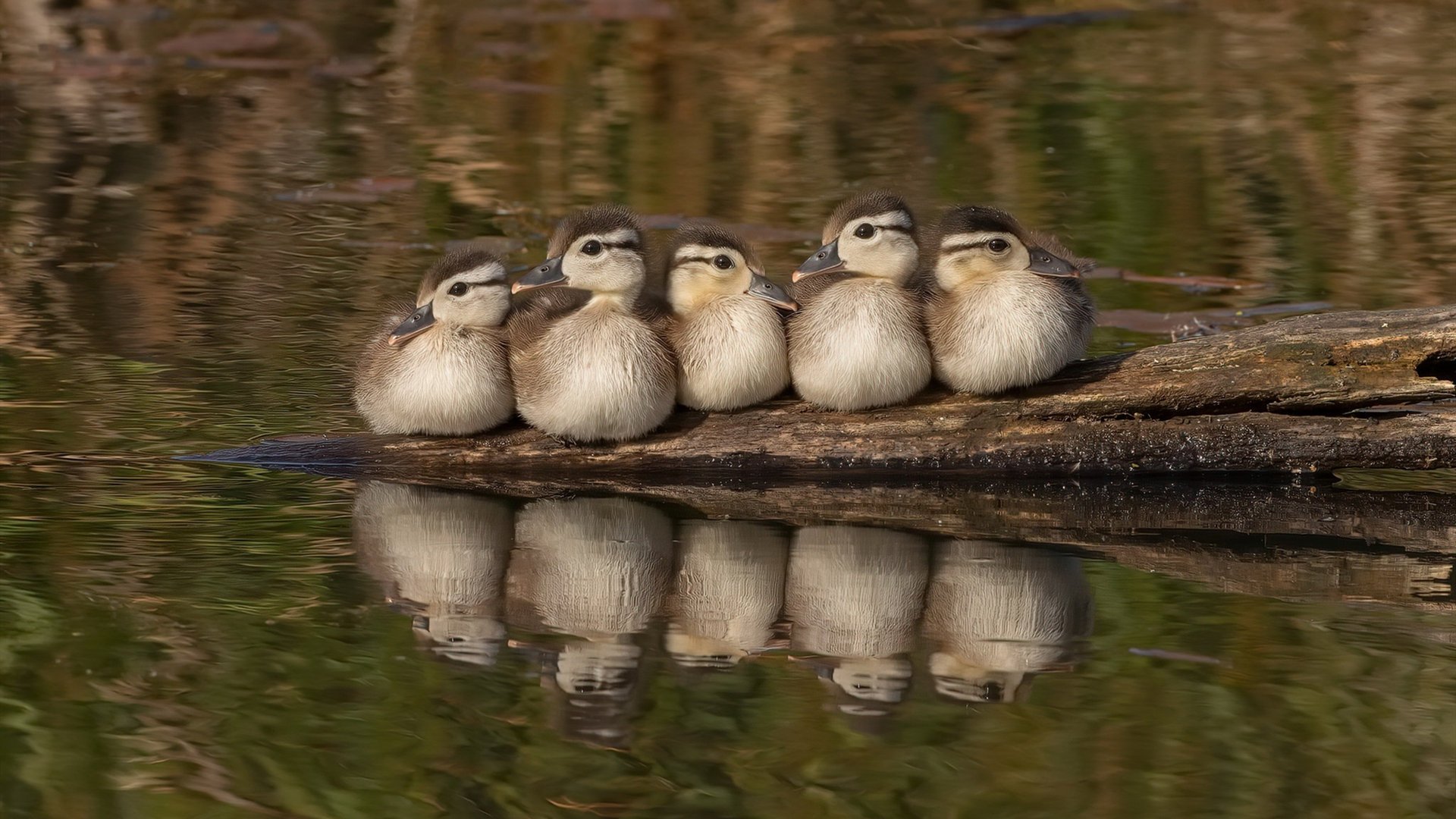 热议篮球球员训练营表现评估机制,篮球训练营学员登记表