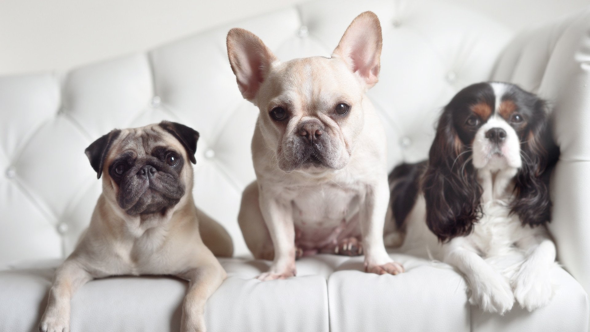 开云平台-电竞成为NBA全球粉丝交流平台，nba电竞battle