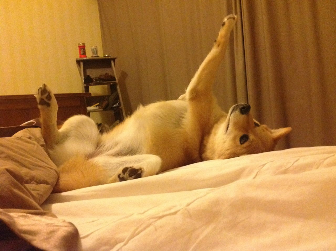 kaiyun.com-英格兰主场轻取捷克，成功晋级欧锦赛淘汰赛，欧洲杯预选赛英格兰对捷克