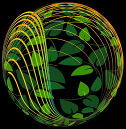 开云网站-未来青训：生态系统构建助推足球强国梦，足球生态系统建设