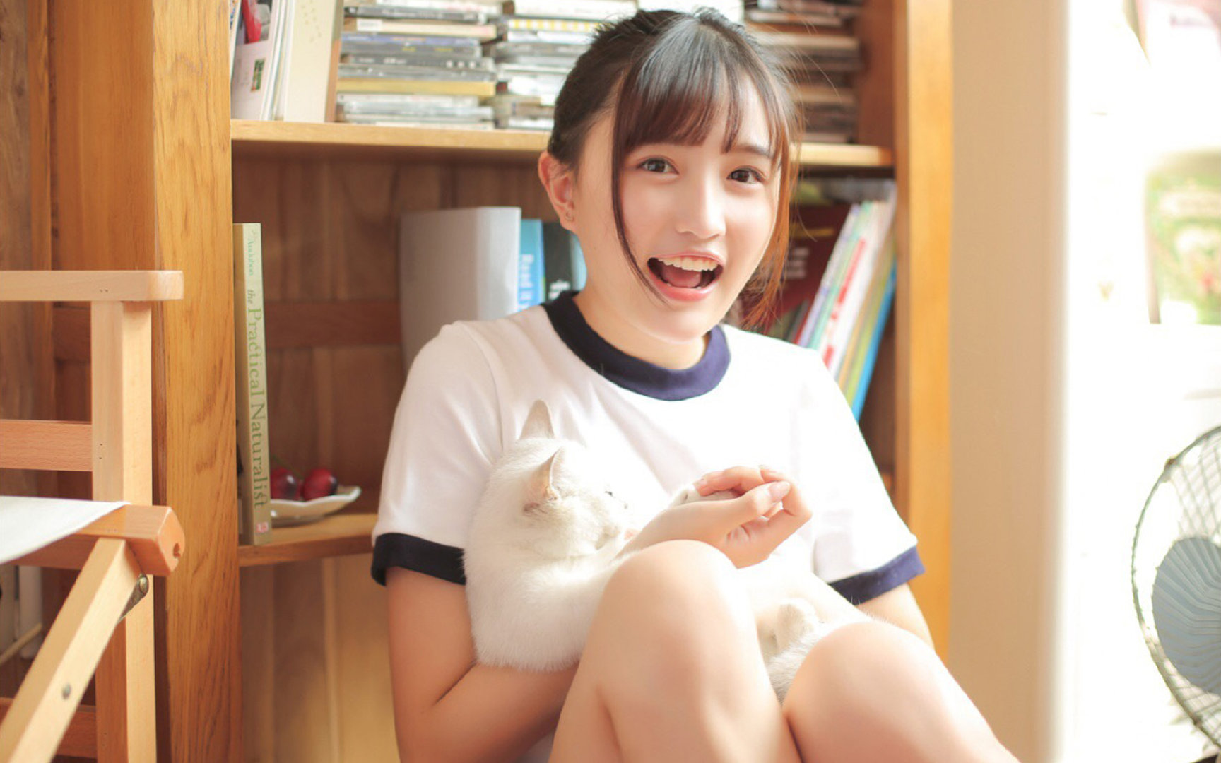 开云官网在线-塞维利亚稳居西甲前列，争夺欧洲赛场席位