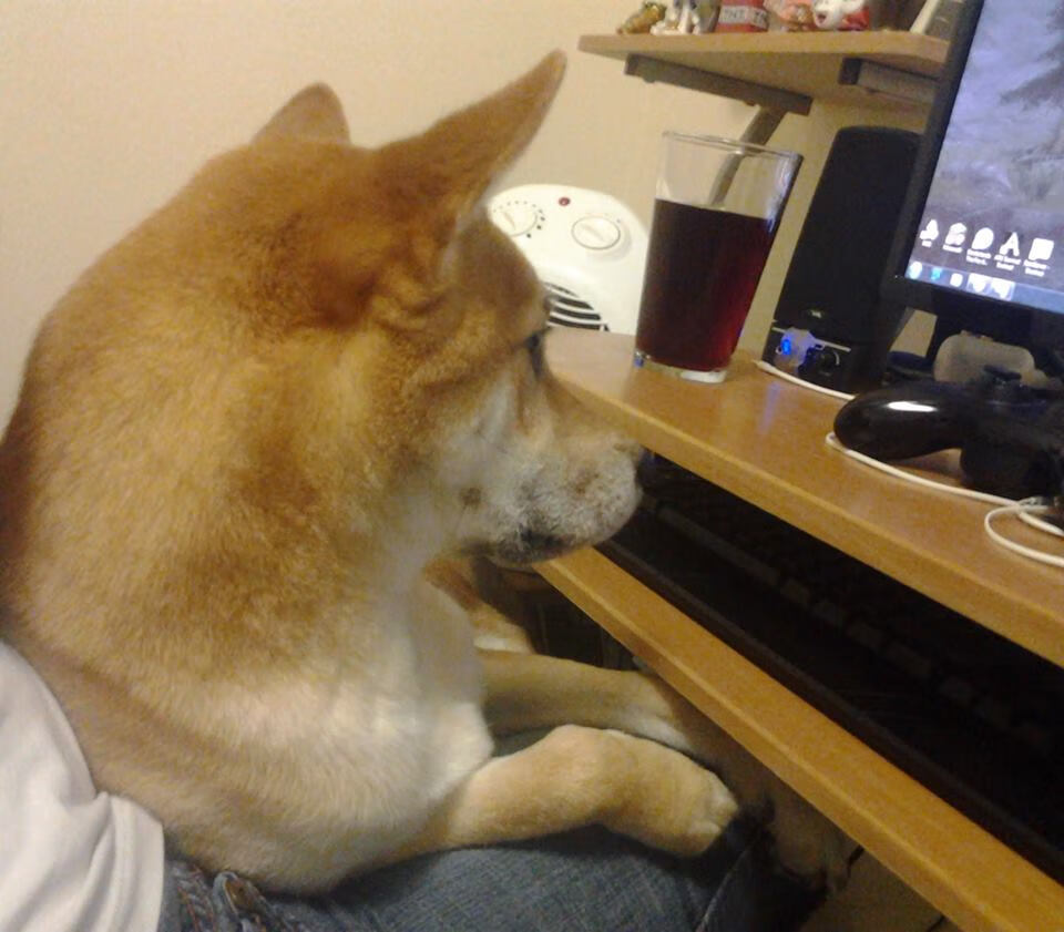 开云官网在线-德甲速度之王：突破防线的瞬间令人震撼，德甲最快进球纪录