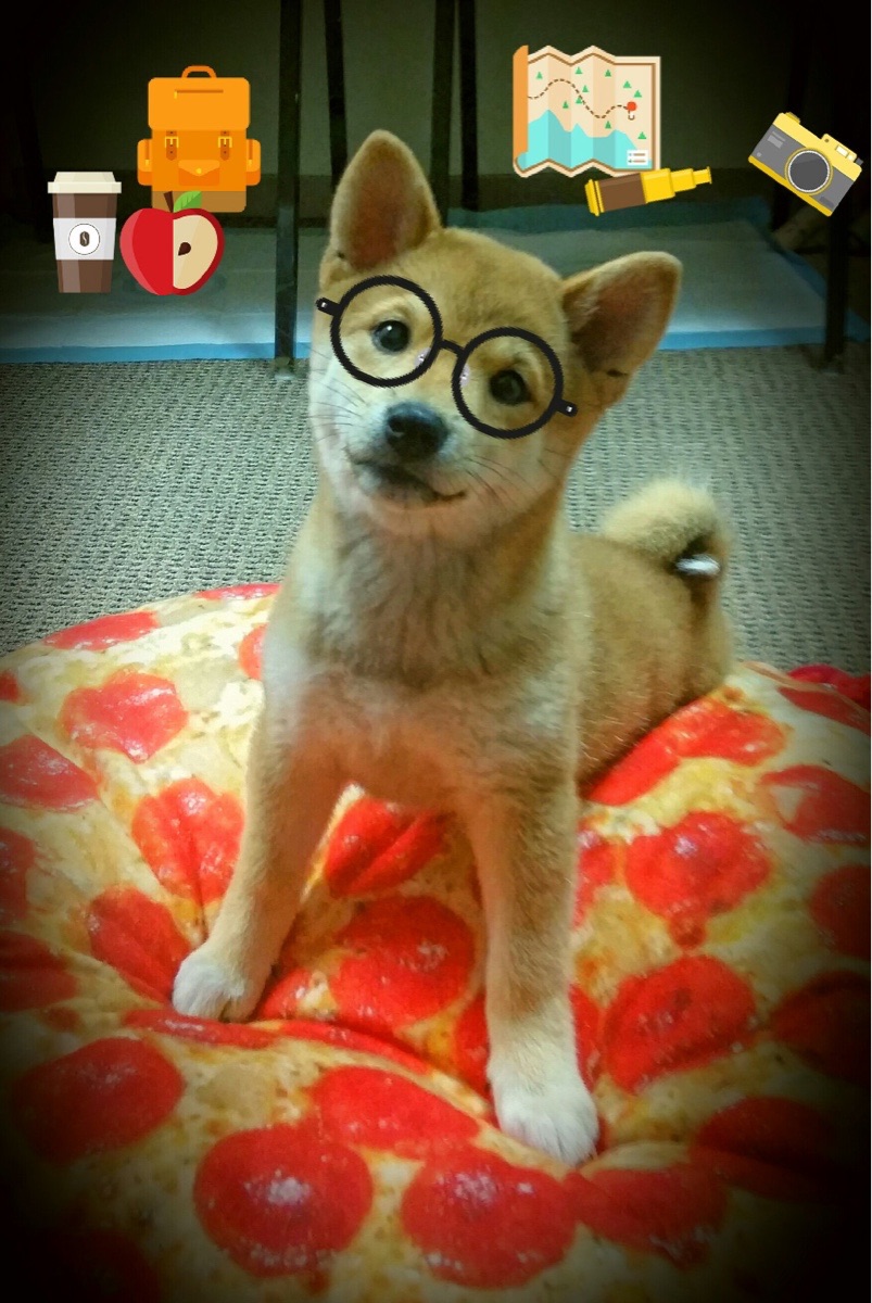 kaiyun-欧洲杯战术创新：策略多变，冠军之路！，欧洲杯技术分析