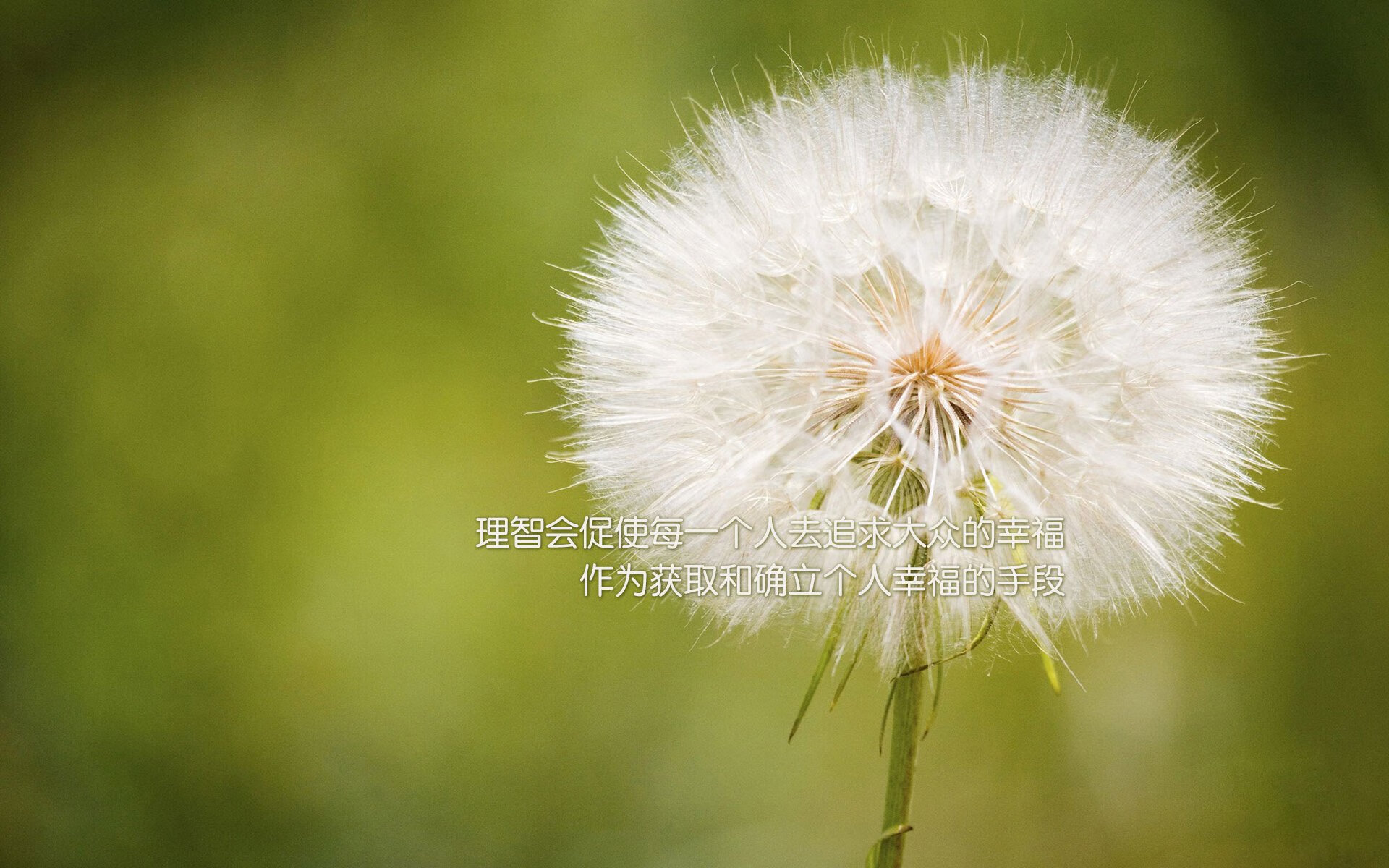 kaiyun开云·官方网站-澳大利亚橄榄球青训与国际接轨，全球发展潜力巨大，澳大利亚橄榄球介绍