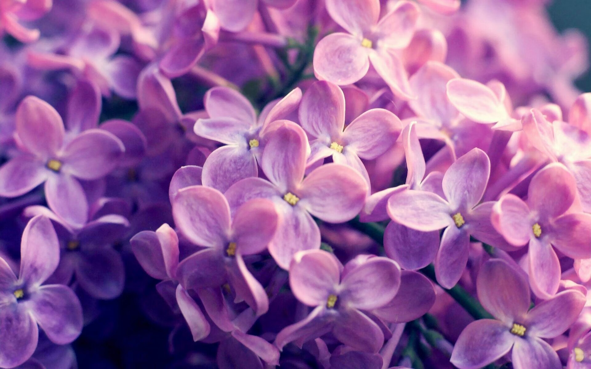 开云体育官方网入口-西甲精彩过人：技巧与速度的完美结合，西甲连场进球纪录